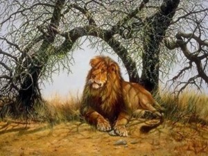 EL leon, tambien conocido como el Rey de la Selva